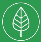 An illustrated outline of a white leaf on a green background.