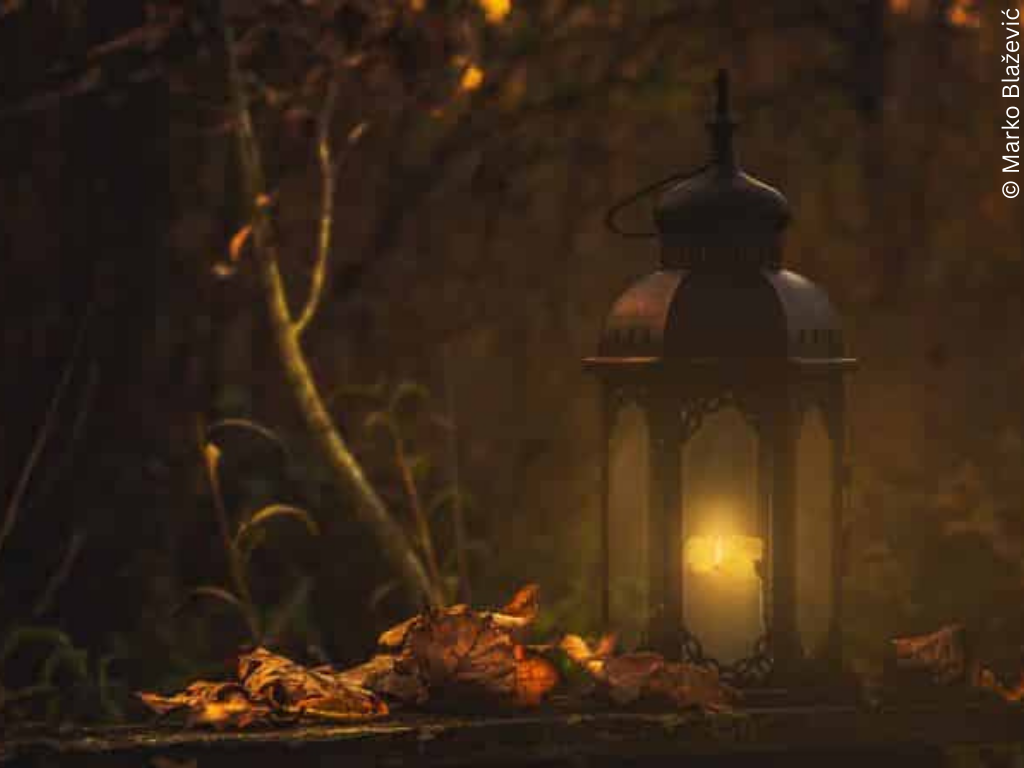 A lantern